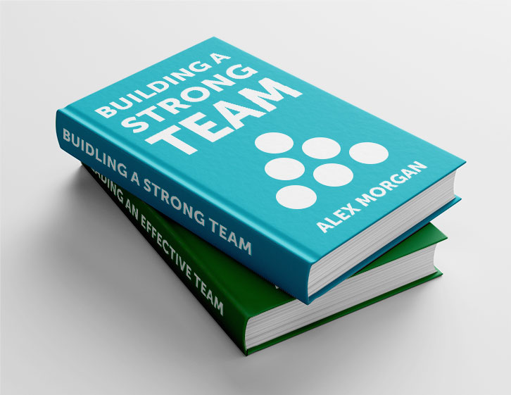 Team Leadership Book Bundle